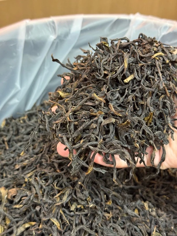 【黄枝香】清香潮州单丛轻火潮州工夫茶礼罐一斤