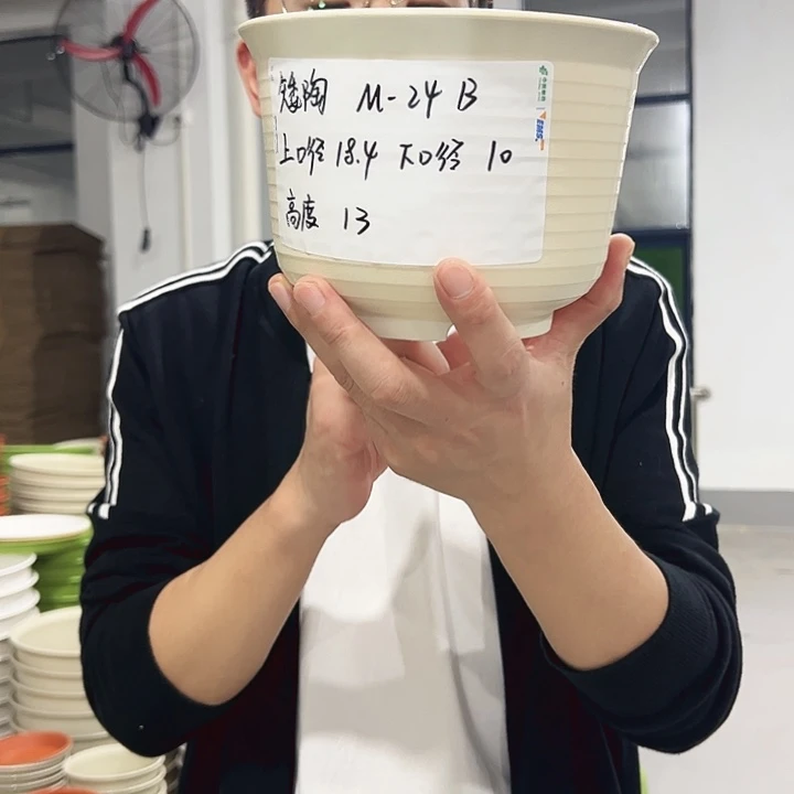正品矮陶口18高13果绿10只无托