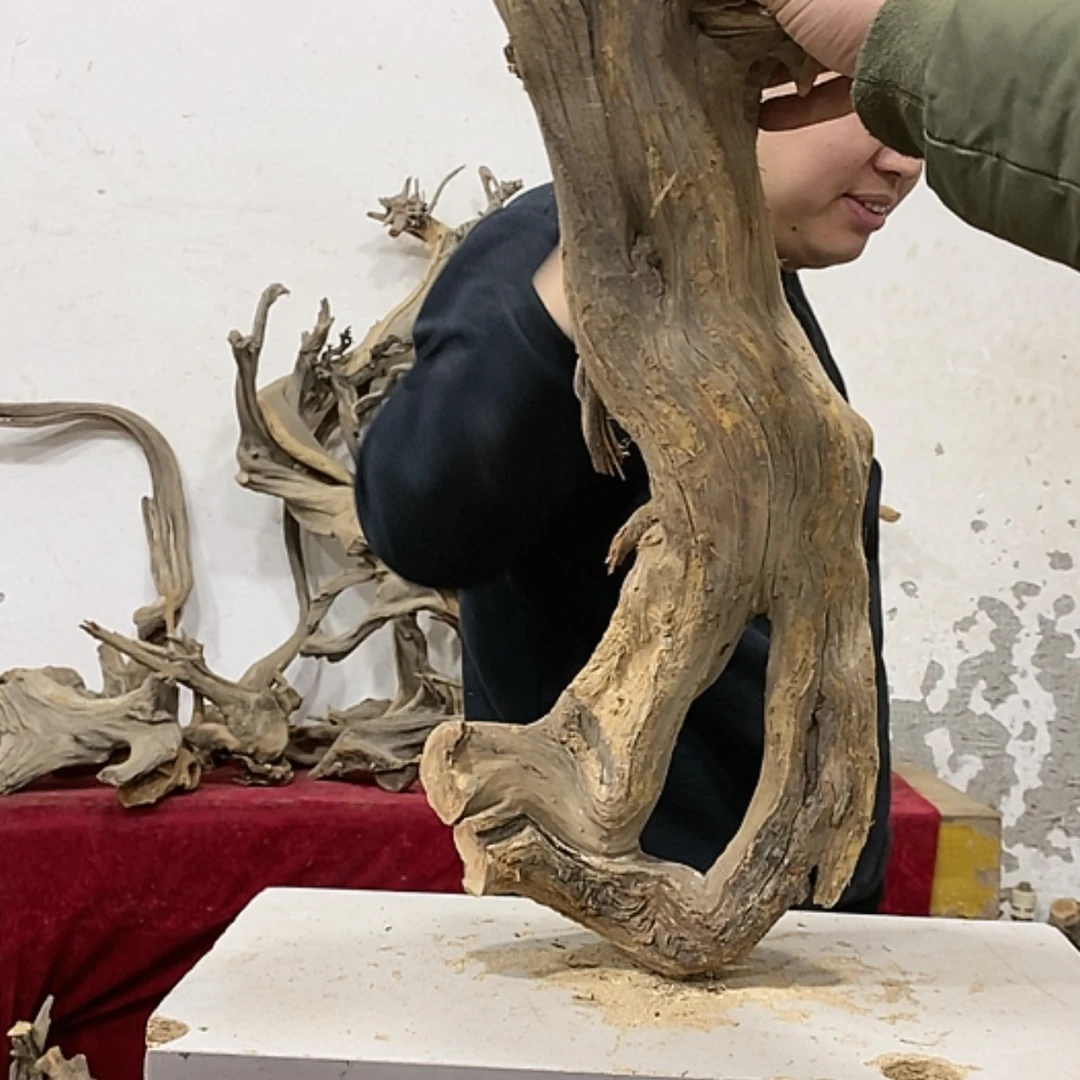 【闪购商品】柏木展****）我们都是好孩子