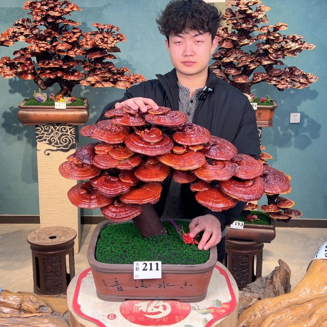 无花朵86888888888