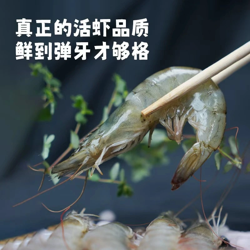 【新店开业】渤海湾盐田虾 一斤称15-17条 鲜活速冻 顺丰包邮!