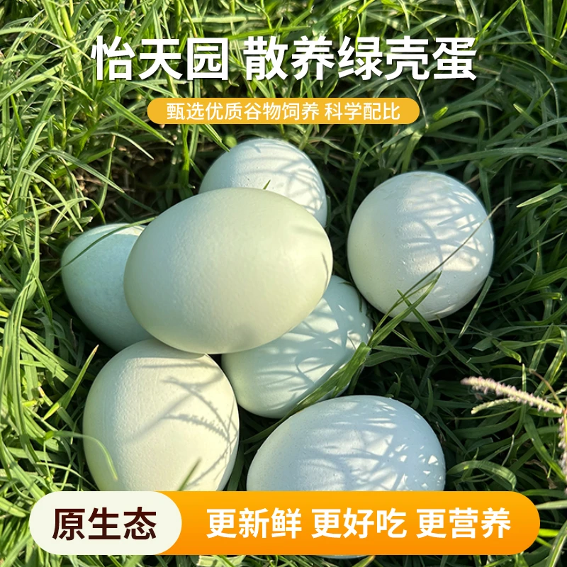 散养绿壳土鸡蛋当天捡蛋当天发货纯天然生态喂养绿壳蛋新鲜美味