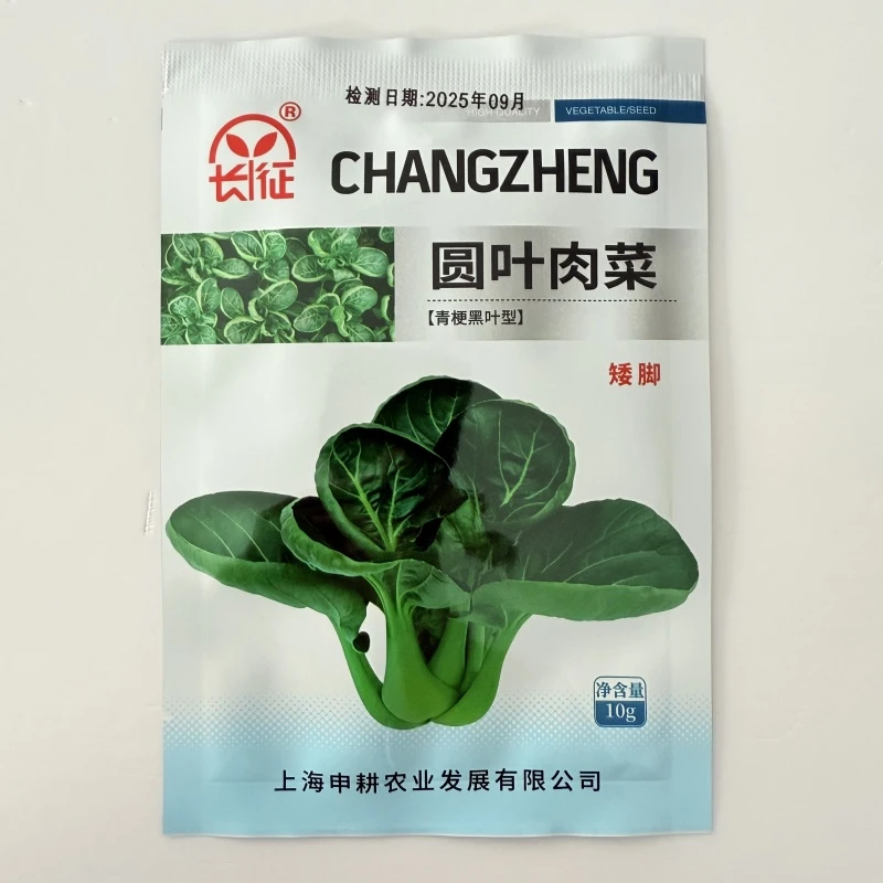 长征圆叶肉菜种子矮脚青梗菜种子耐寒高产口感软糯秋季播种