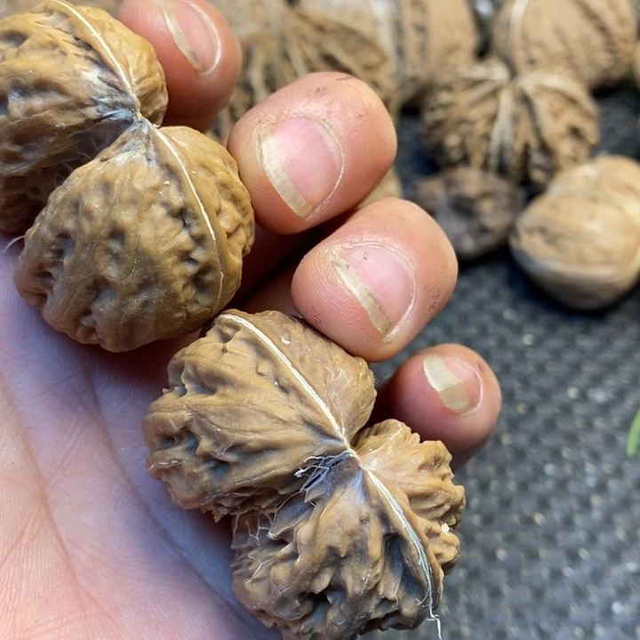 盛***事吊坠文玩核桃娜姐47