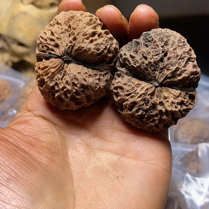 把件文玩核桃云南铁核桃基地62