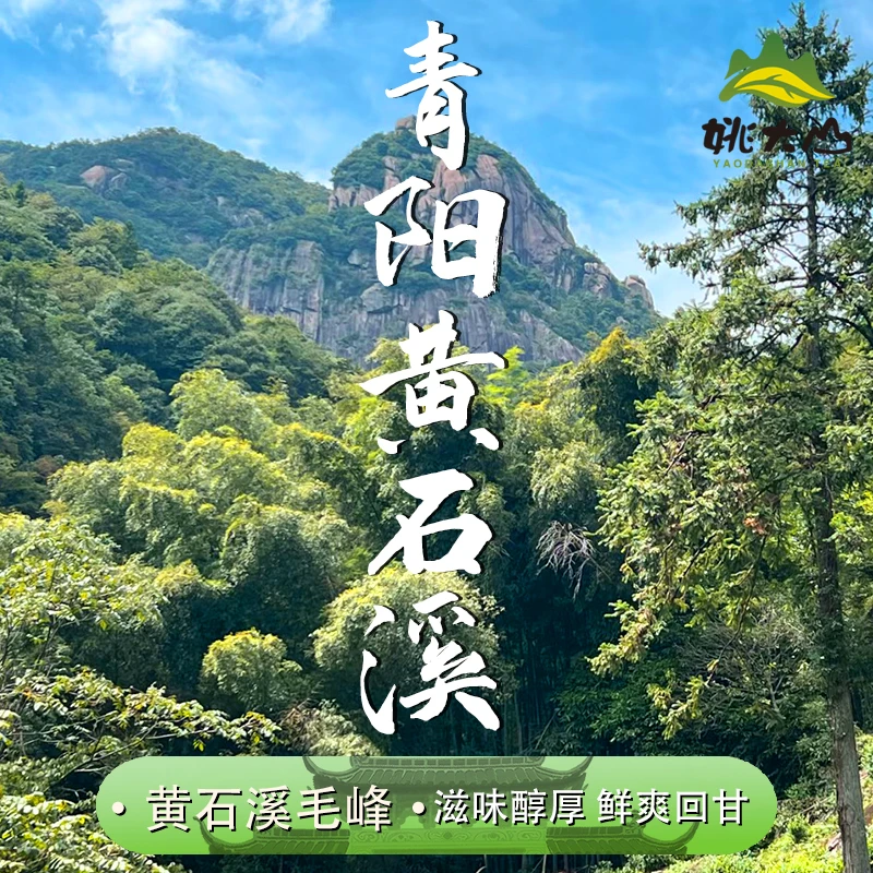 【姚大山】2025新茶 黄石溪毛峰100g  特级绿茶 茶叶