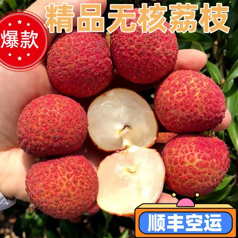 【京东空运】正宗无核荔枝新鲜采摘包邮当季精品整箱水果新鲜包邮