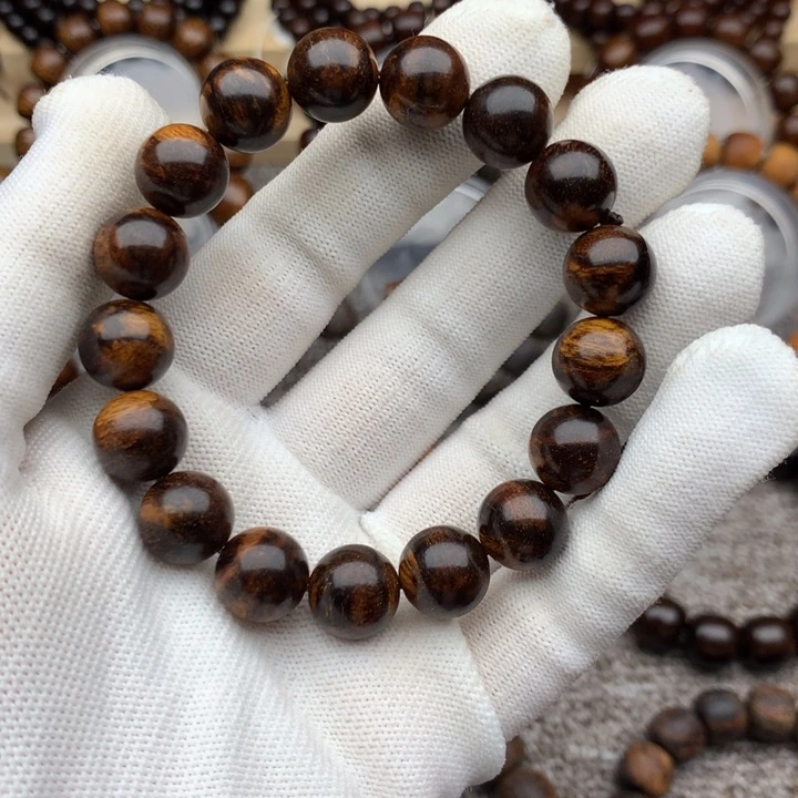 贡木巴布亚12黑妖纹