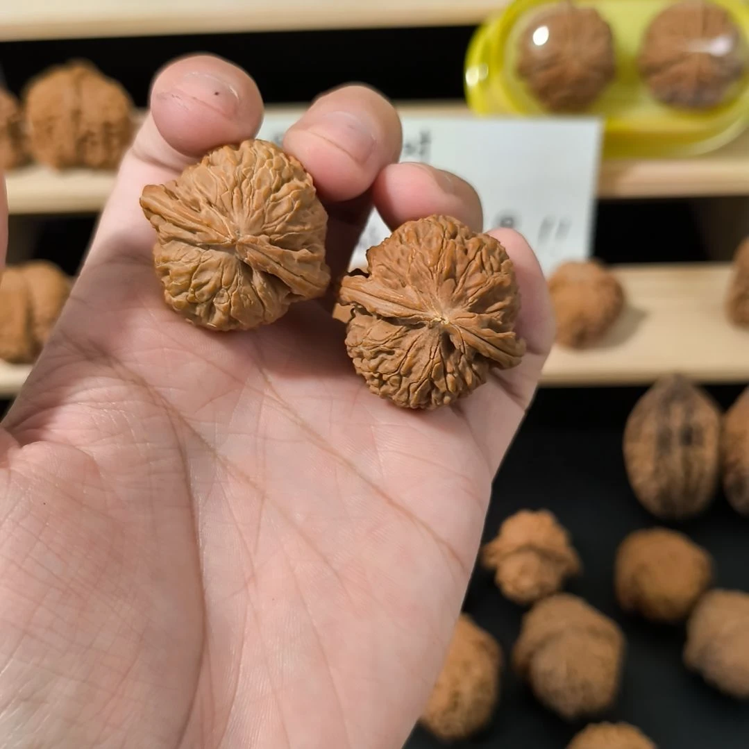 文玩核桃吊坠36白狮子有虚黄尖