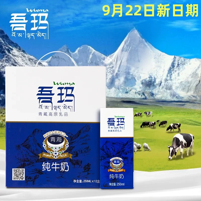 清真 吾玛纯牛奶 青藏高原220ml*12盒 无添加天然 9月22日新日期