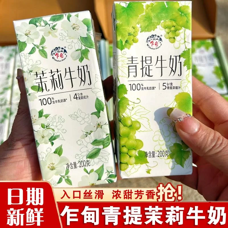 乍甸茉莉青提牛奶高原牧场茉莉花含乳清爽奶香儿童早餐甜牛奶盒装