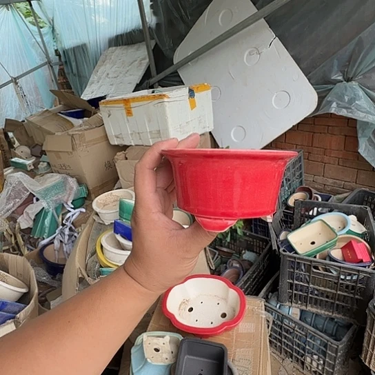 不去看书啊哈是真的想吐是