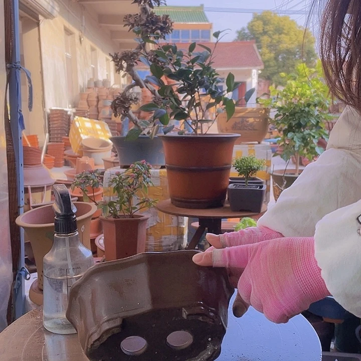 紫砂宜兴紫砂花盆109
