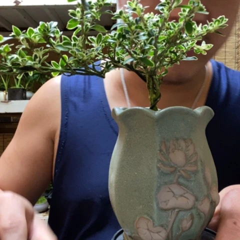 红陶Y*Y一物一拍所见即所得282