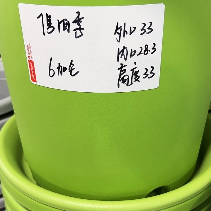 特价7号四季口33高33白色6个无托