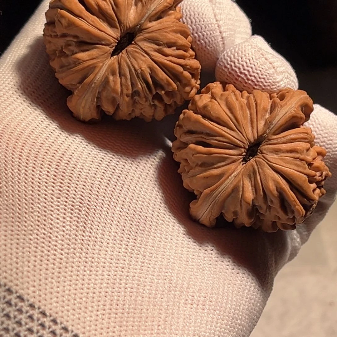 章*40全品。红皮。平谷楼。130