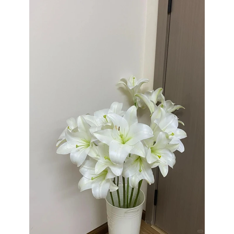 【白铁炮】香水百合 一单包邮 云南鲜花昆明基地现采现发