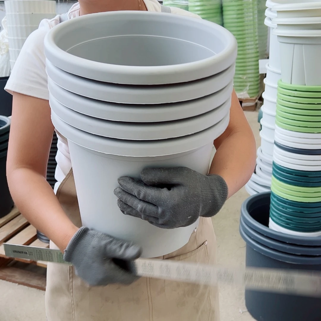 四季盆5#灰白色6个无托