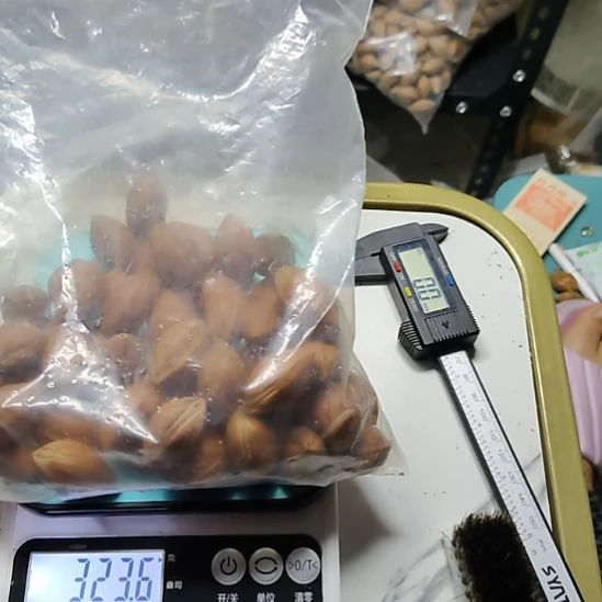力***常吊坠橄榄核大尺寸散籽