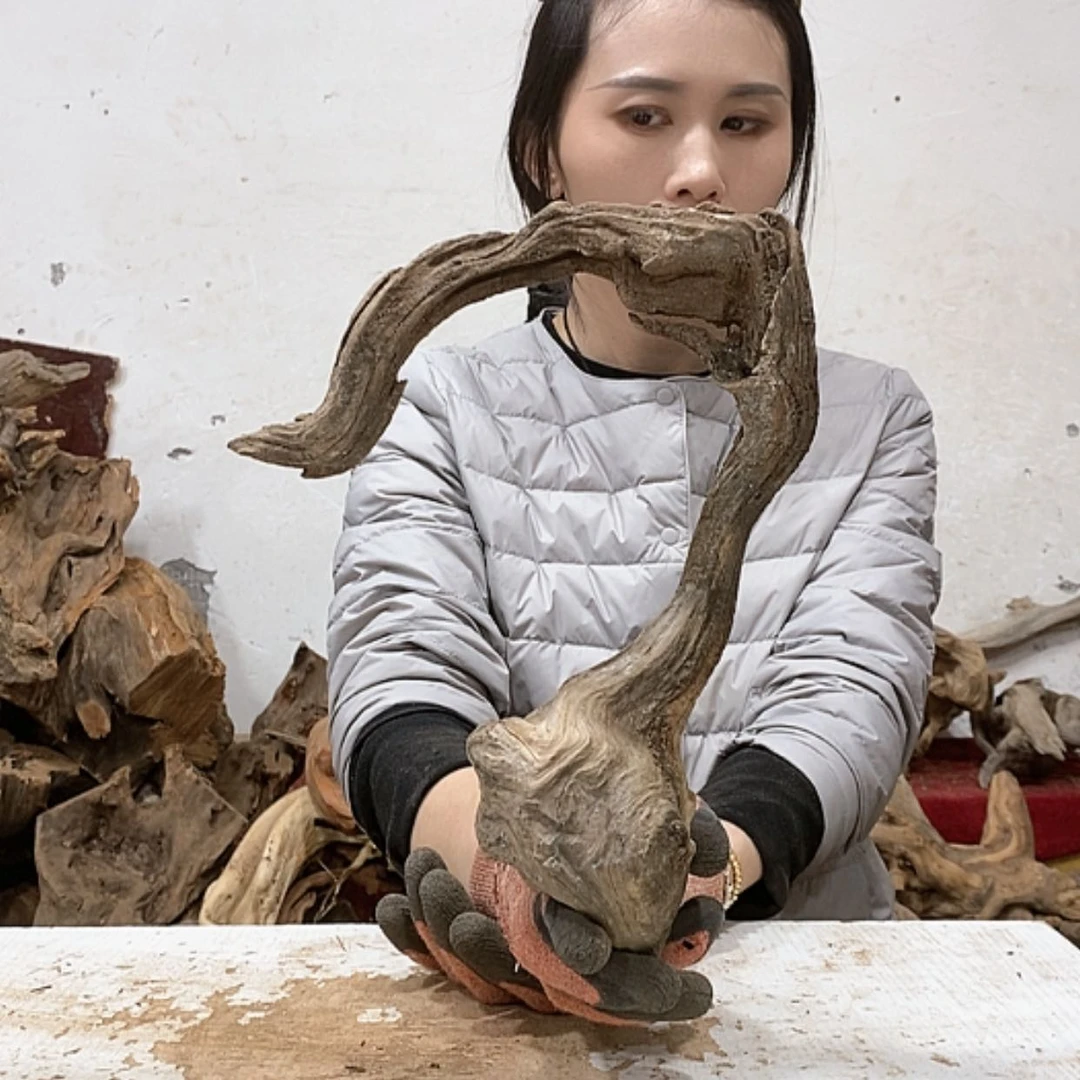 【闪购商品】柏木吳*章我们都是好孩子