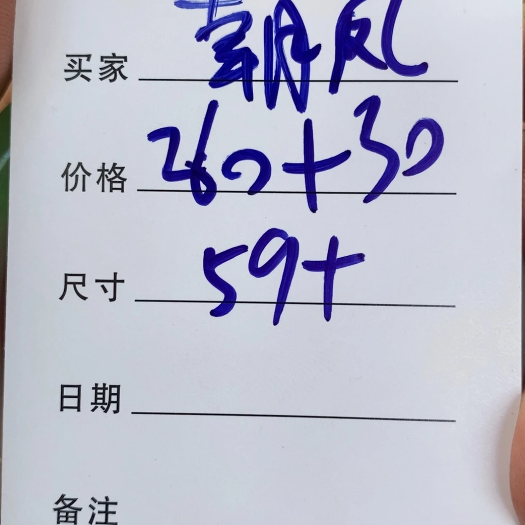 朝***凤非金属所见皆所得