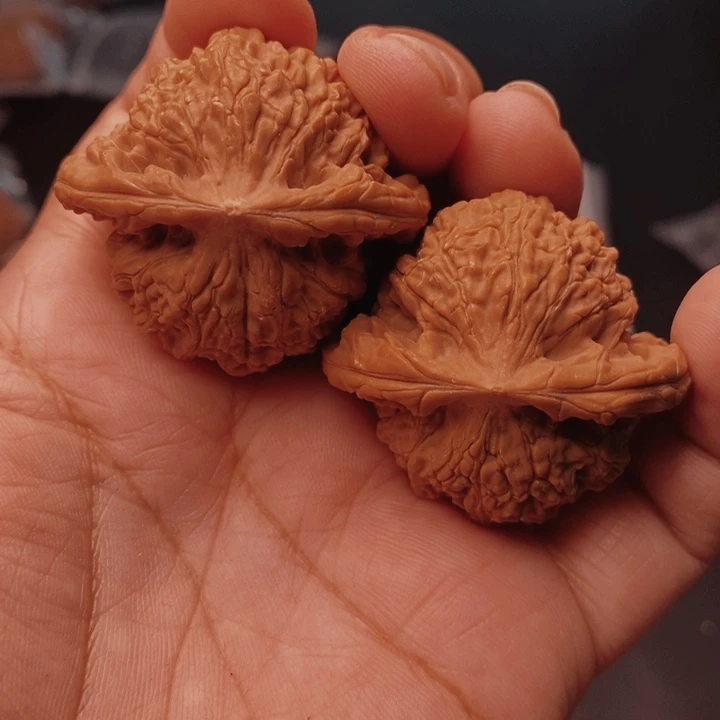 核桃马老四41尺核桃
