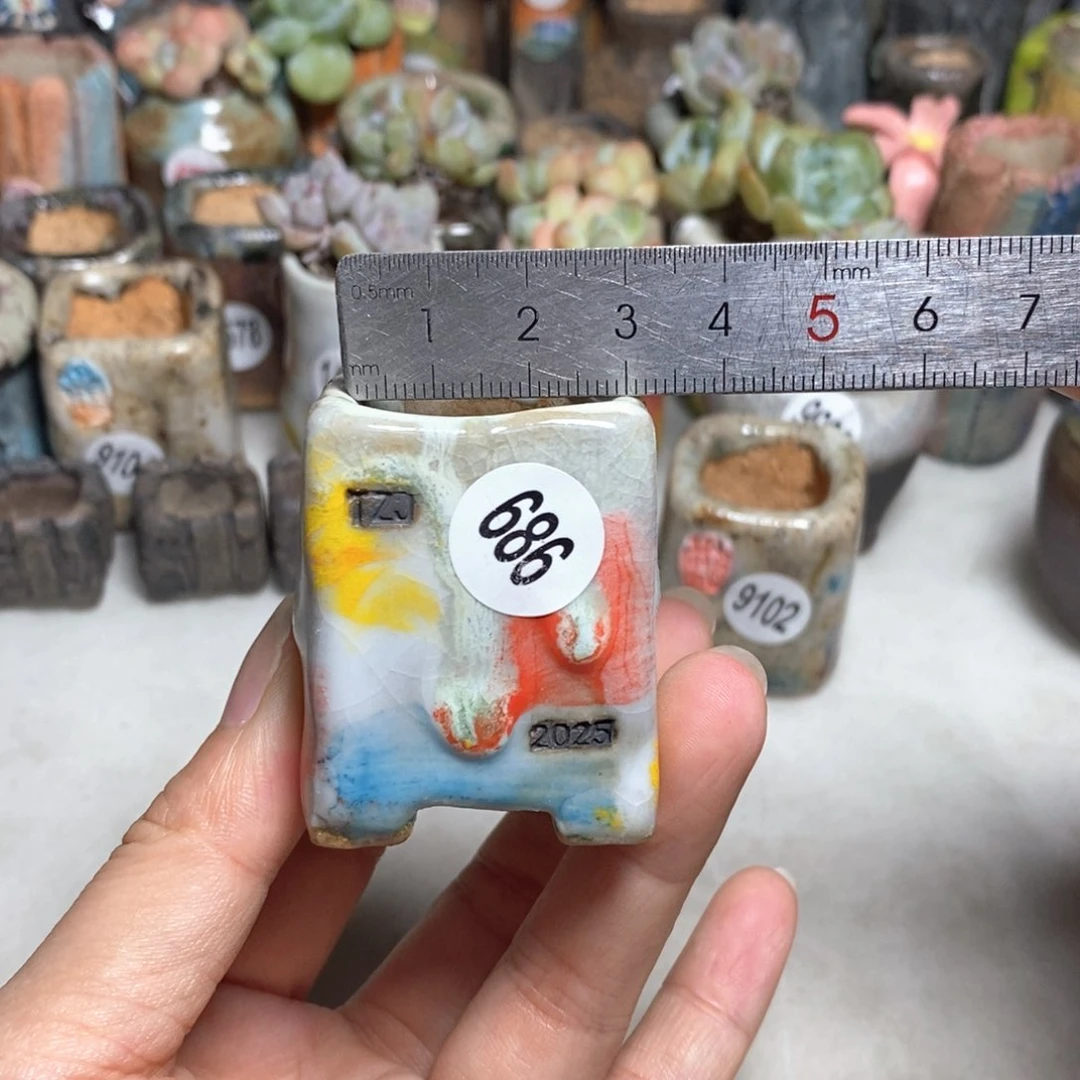 拍3送一个小礼物