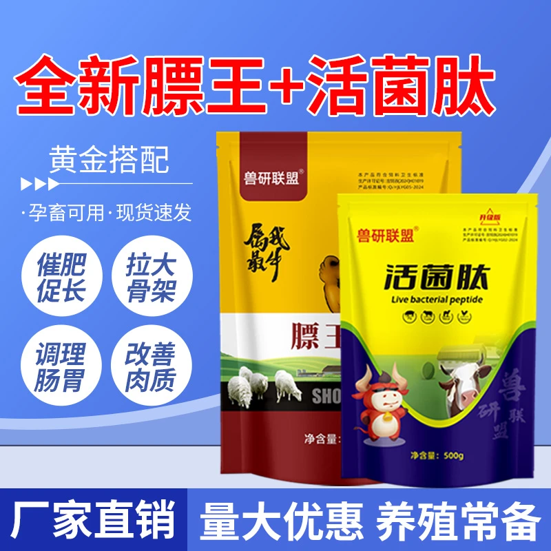 【膘王+活菌肽】牛羊催肥上膘补充营养胍基乙酸促进反刍活菌消化酶