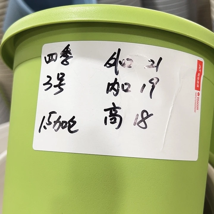 四季3号特价混色10个无托