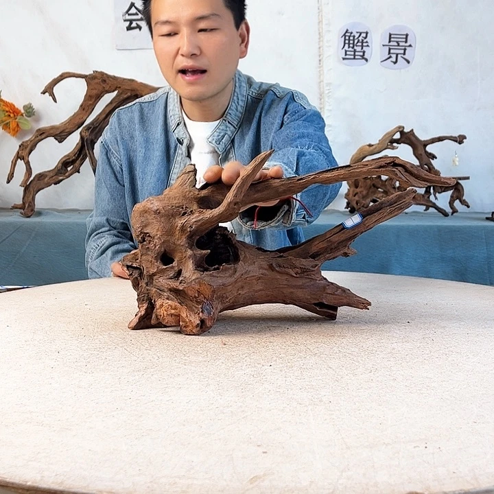 沉木造景爬宠造景