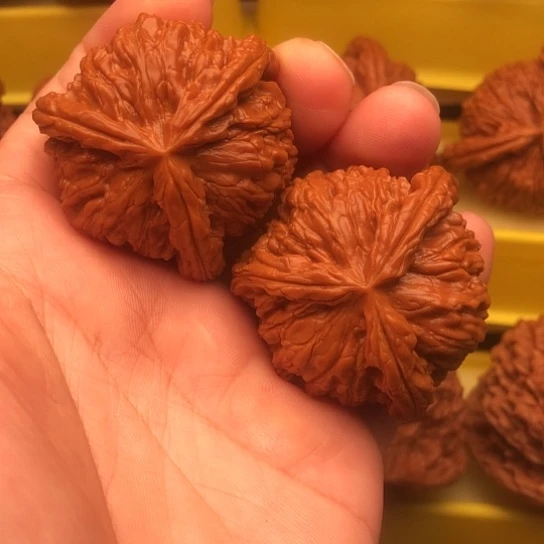 核桃核桃核桃核桃核桃核桃