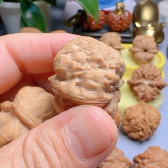 古蝉全品无修文玩核桃