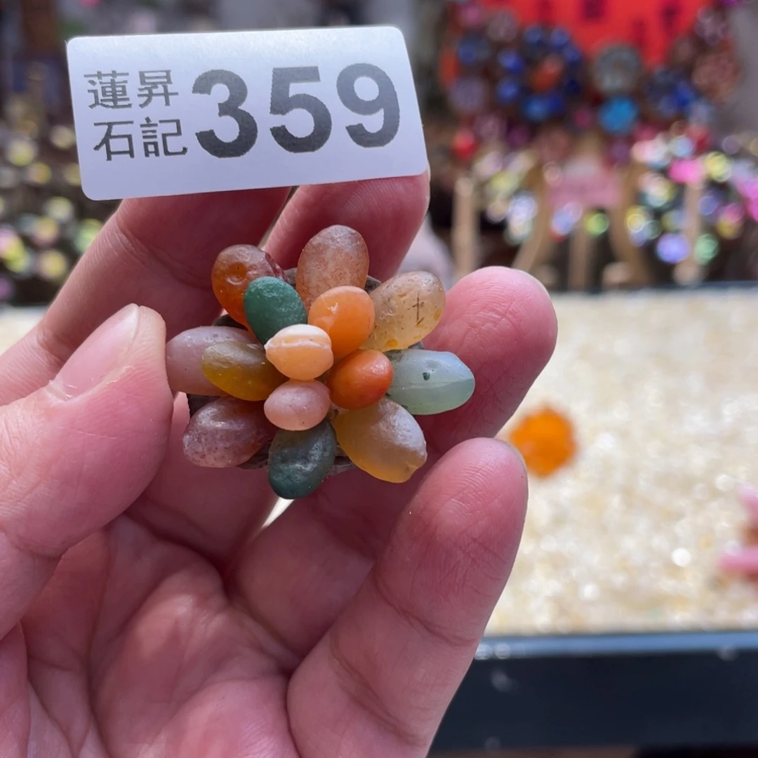 核桃木/黑胡桃（胡桃木）359