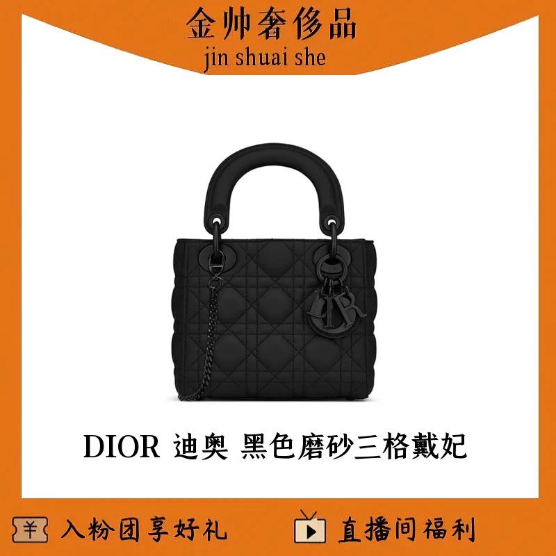 99新 DIOR/迪奥 黑色/磨砂/soblack/三格戴妃/20年/单肩包/B6666