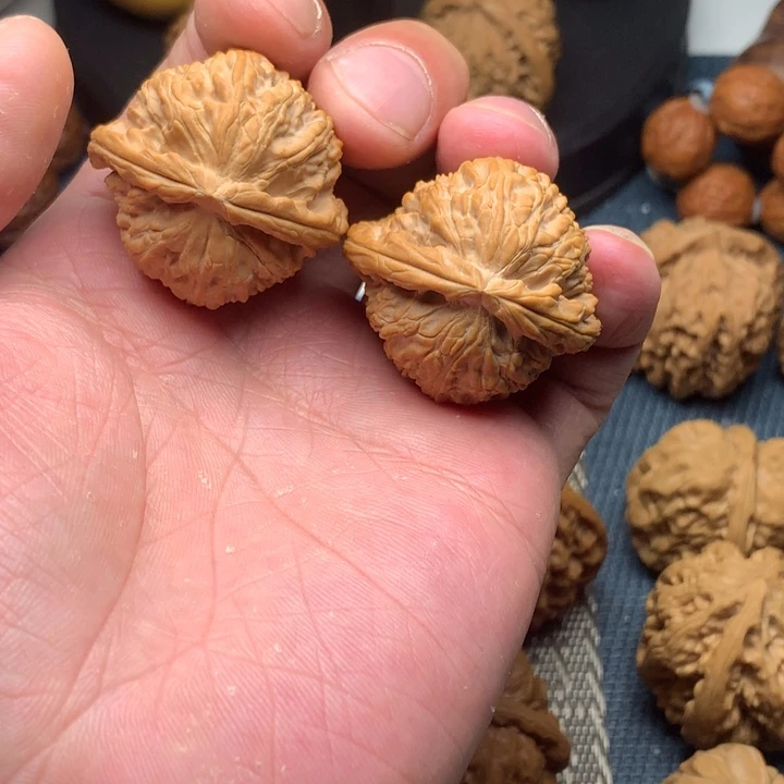 不***臣核桃手串/手链36全品白狮子