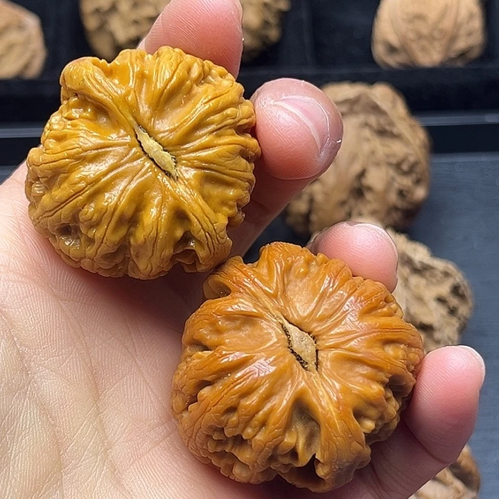木质类秦岭突突突突突
