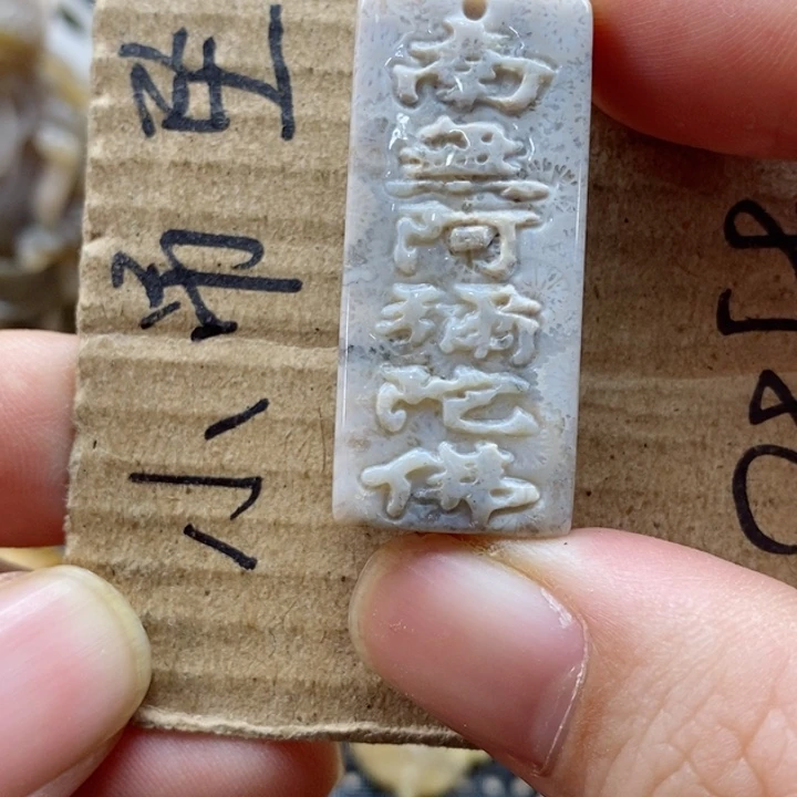 硅化珊瑚（珊瑚玉）颈饰未镶嵌