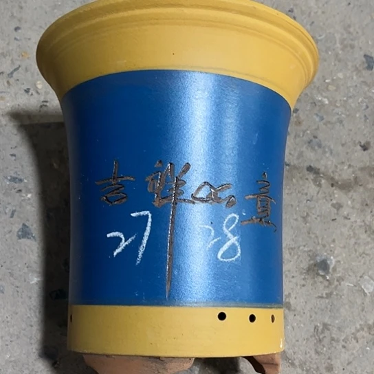 紫砂工艺厂、紫砂工艺厂……