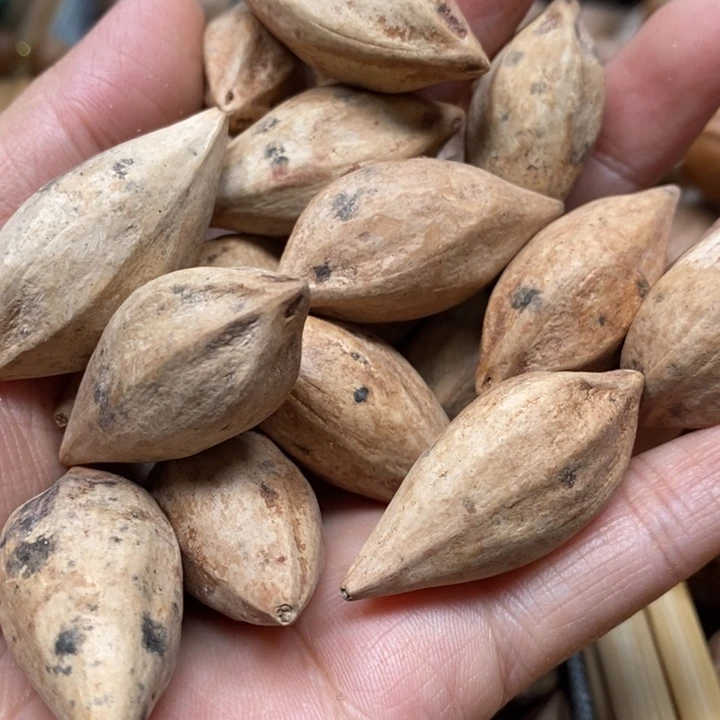 吊坠橄榄核2斤大的大