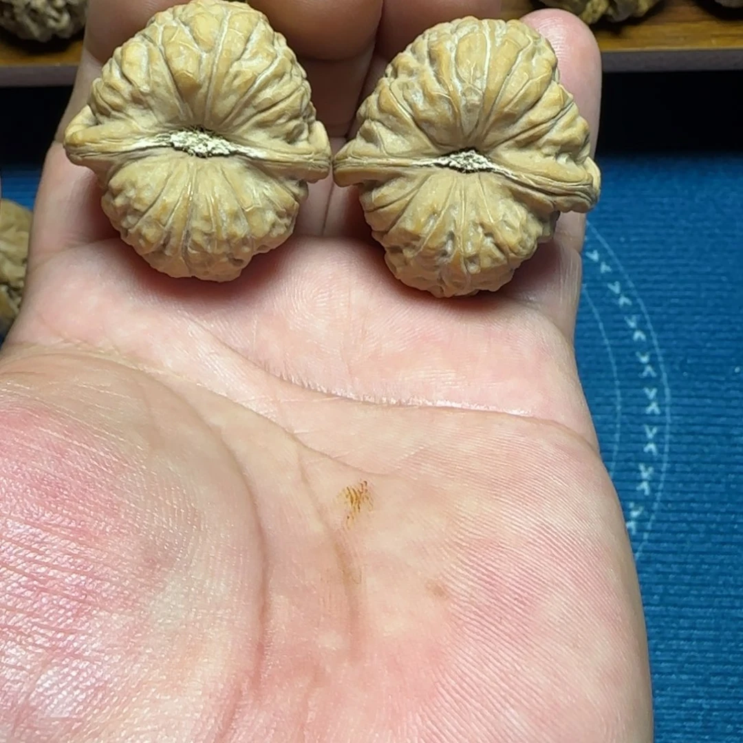 文玩核桃把件全品37南瓜墩