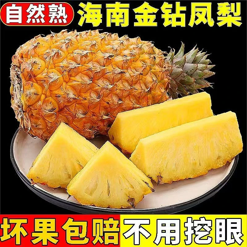 海南自然熟金钻凤梨凤梨新鲜热带水果  海南原产地直发 爆甜凤梨