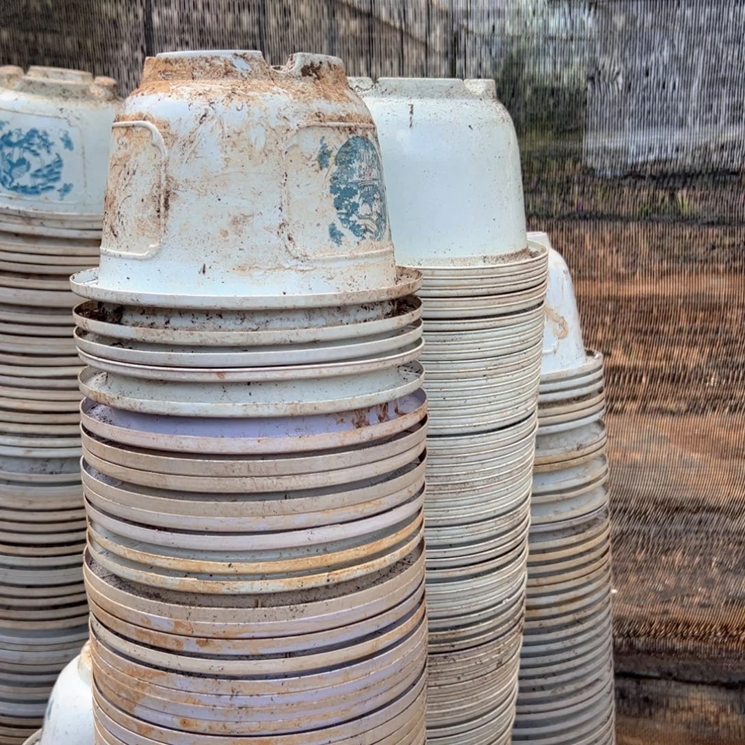 富贵花开盆18.5外口径12.5高 20个