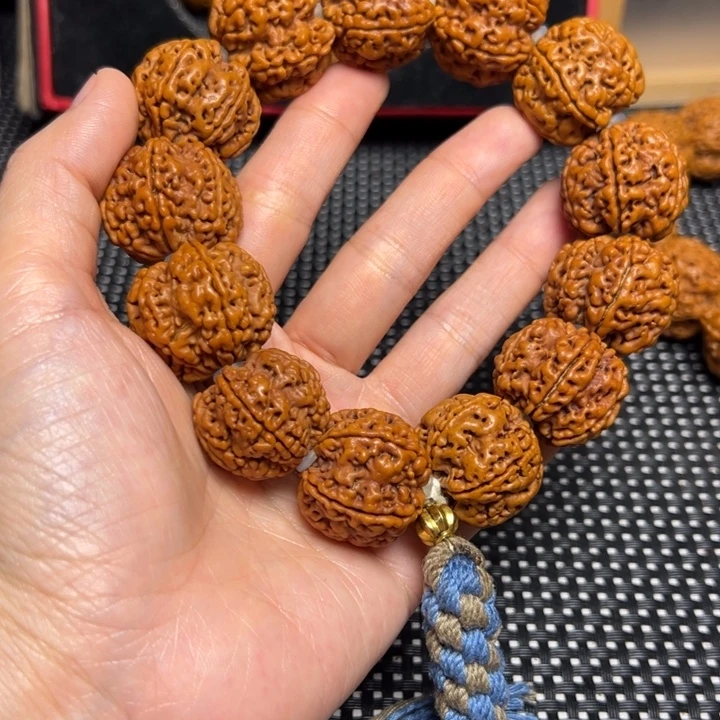 手串金刚菩提23六瓣
