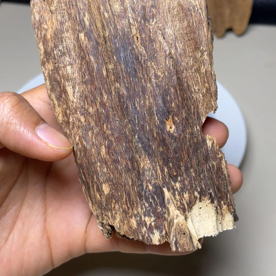 香榧木海南竹木根雕木料38克