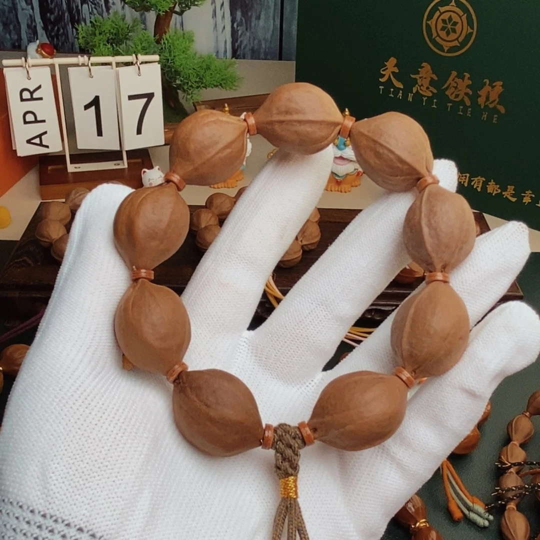 精挑细选19/26梅林铁核素串