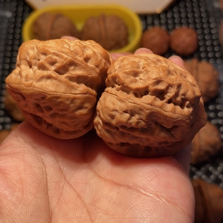 文玩核桃把件四开背肌肉蛙