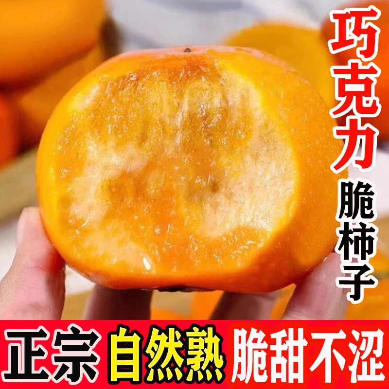 正宗阳丰巧克力冰糖心甜脆柿子当季新鲜水果3/5/8斤生吃脆甜不涩