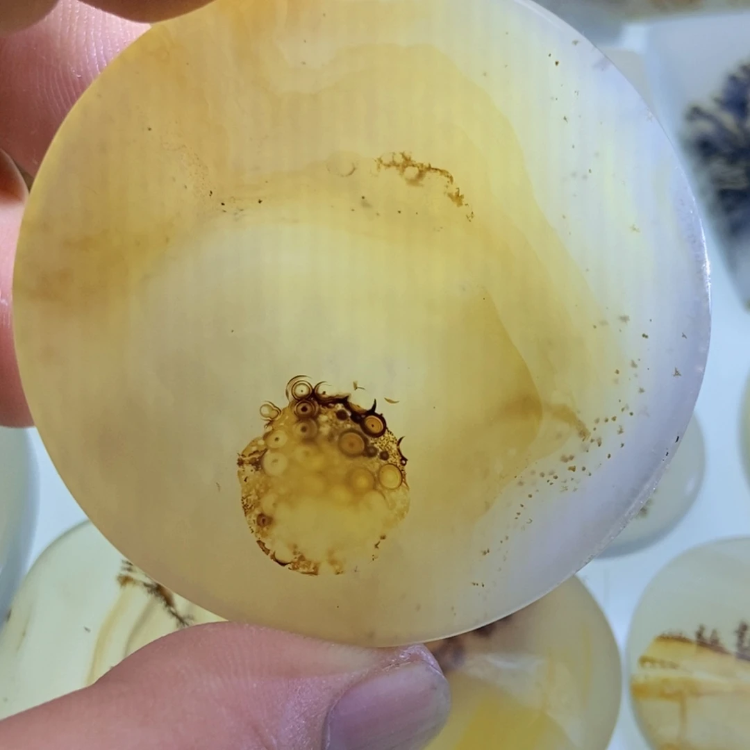 【闪购商品】未镶嵌颈饰玛瑙/玉髓E****g