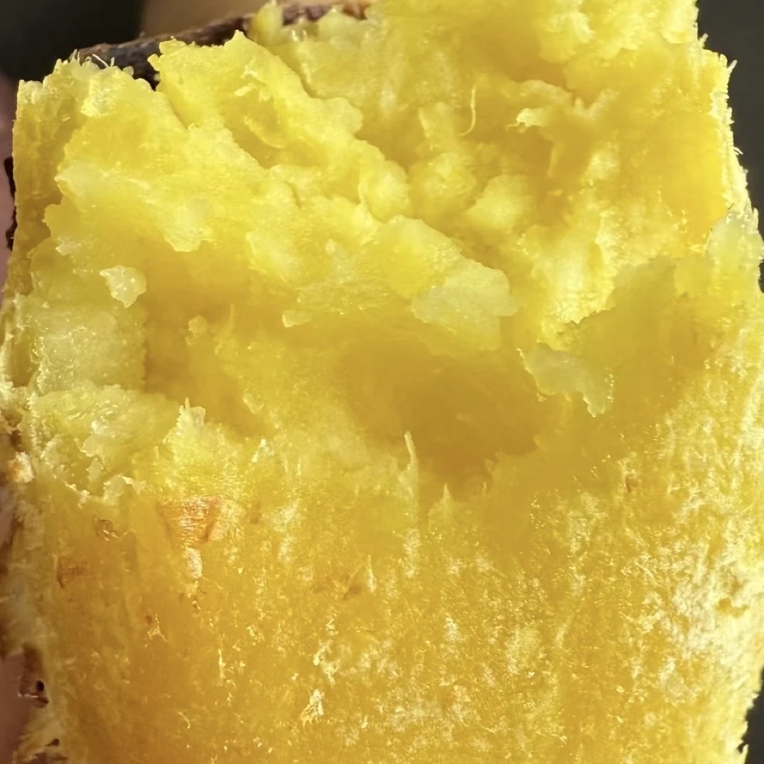 陕北沙地红薯老品种红薯软糯香甜无茎无丝