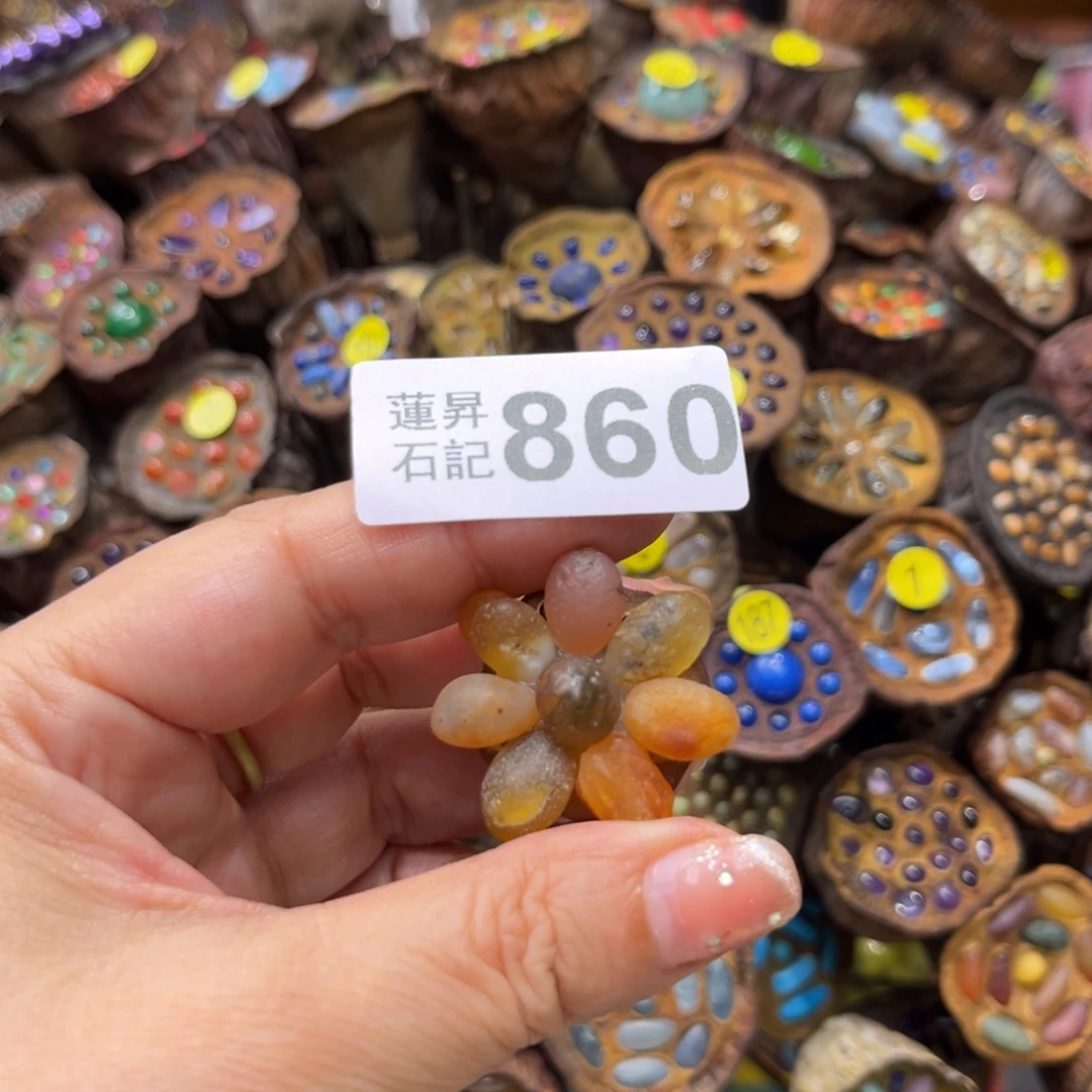 晚***秋核桃木/黑胡桃（胡桃木）860